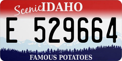 ID license plate E529664
