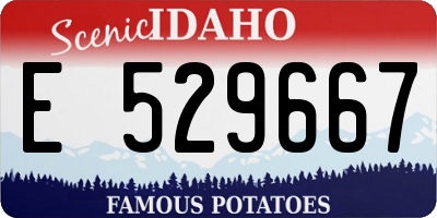 ID license plate E529667