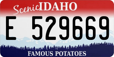 ID license plate E529669