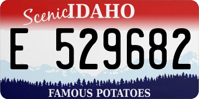 ID license plate E529682