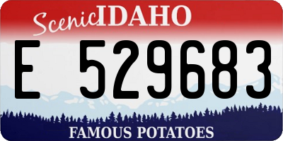 ID license plate E529683