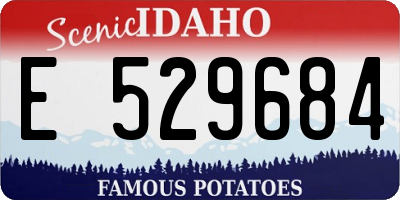 ID license plate E529684