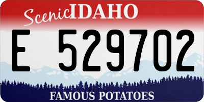 ID license plate E529702