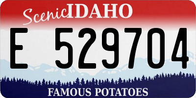 ID license plate E529704