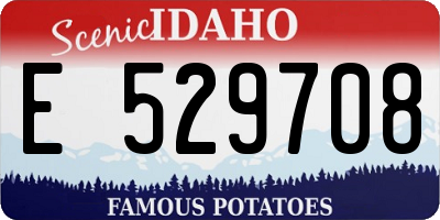 ID license plate E529708