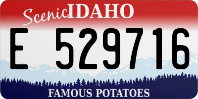 ID license plate E529716