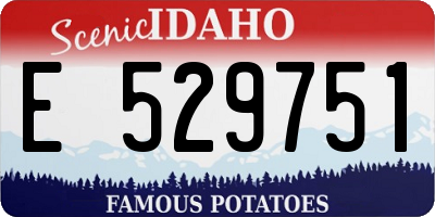 ID license plate E529751