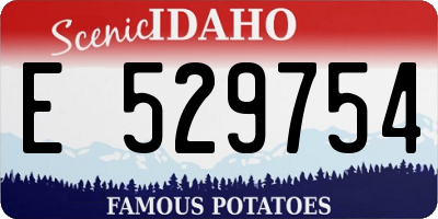 ID license plate E529754