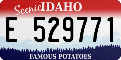 ID license plate E529771