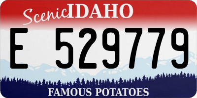 ID license plate E529779