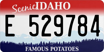 ID license plate E529784