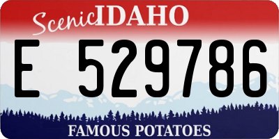 ID license plate E529786