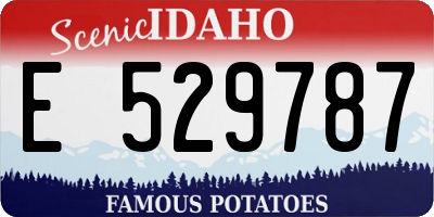 ID license plate E529787