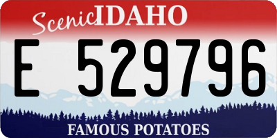 ID license plate E529796
