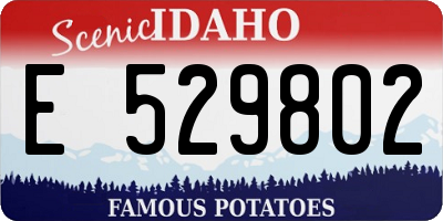 ID license plate E529802