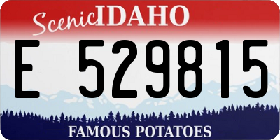 ID license plate E529815