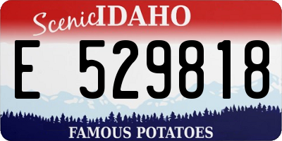 ID license plate E529818