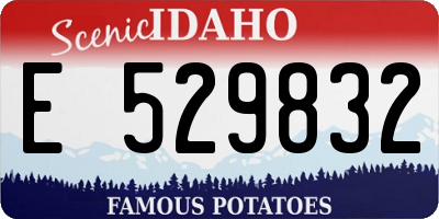 ID license plate E529832