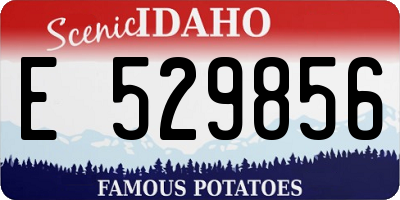 ID license plate E529856