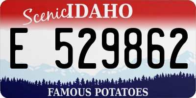 ID license plate E529862