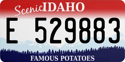 ID license plate E529883