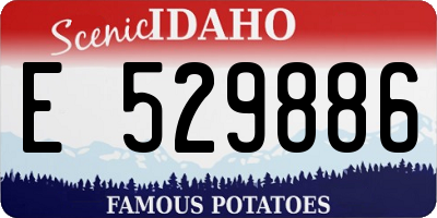 ID license plate E529886
