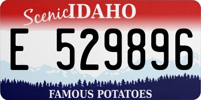 ID license plate E529896