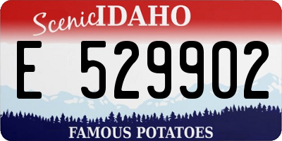 ID license plate E529902