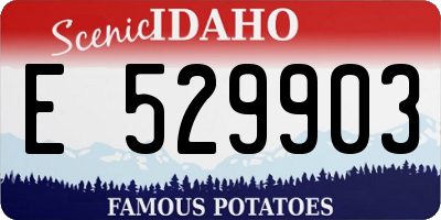 ID license plate E529903