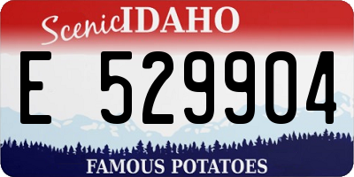 ID license plate E529904