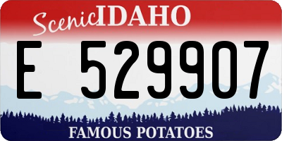 ID license plate E529907