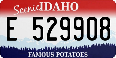 ID license plate E529908