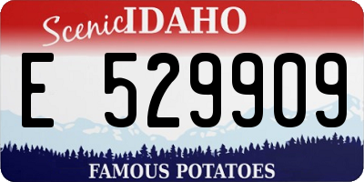 ID license plate E529909