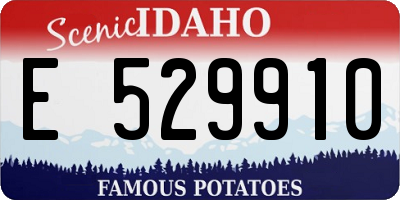ID license plate E529910