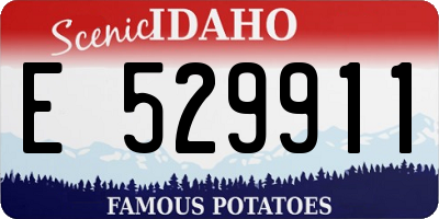 ID license plate E529911
