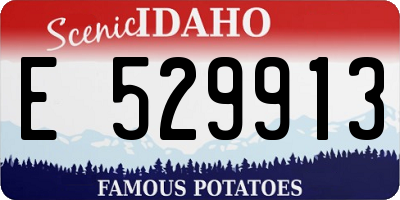 ID license plate E529913