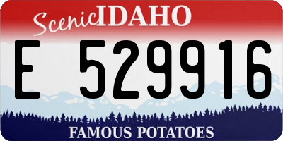 ID license plate E529916