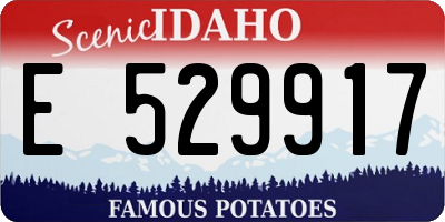 ID license plate E529917