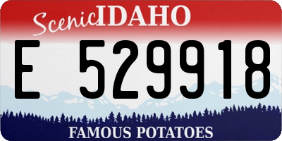 ID license plate E529918