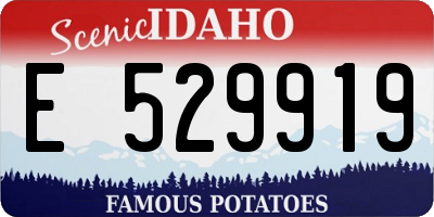 ID license plate E529919