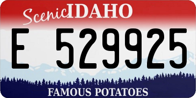 ID license plate E529925