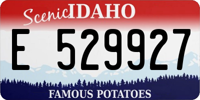 ID license plate E529927
