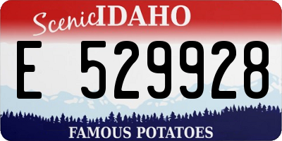 ID license plate E529928