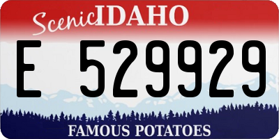 ID license plate E529929