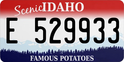 ID license plate E529933