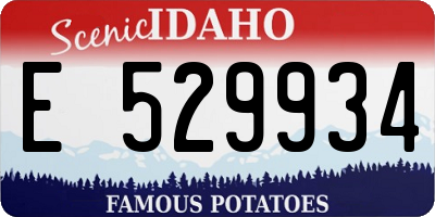 ID license plate E529934