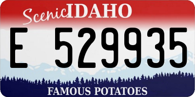 ID license plate E529935