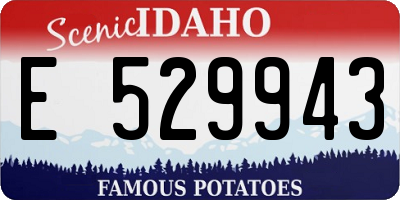ID license plate E529943