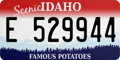 ID license plate E529944