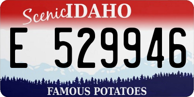 ID license plate E529946